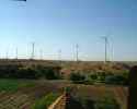 Wind farm again