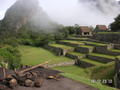 11. Machu Picchu (Day 4)